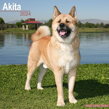 Calendario 2027 Akita