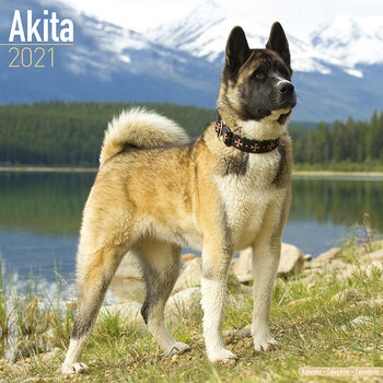 Calendario 2027 Akita