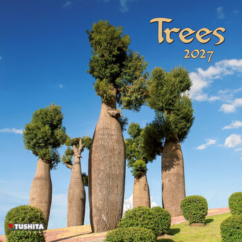 Calendario 2027 Alberi | 16 mesi