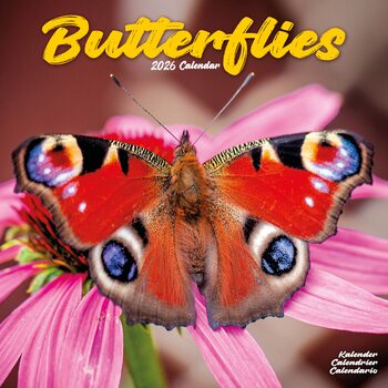 Calendario 2027 Butterflies