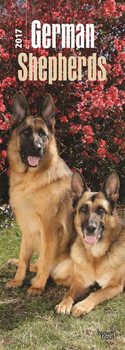 Calendario 2027 Cane da pastore tedesco