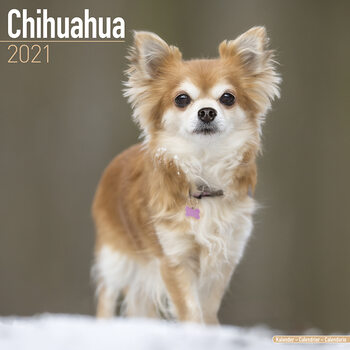 Calendario 2027 Chihuahua