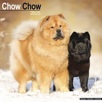 Calendario 2027 Chow Chow