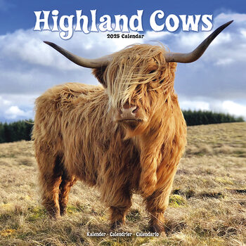 Calendario 2027 Cows - Highland