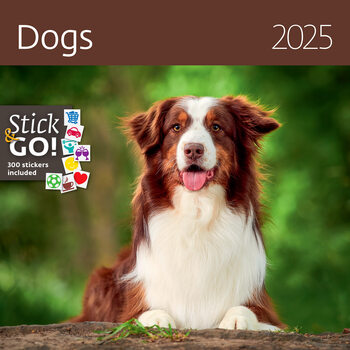 Calendario 2027 Dogs