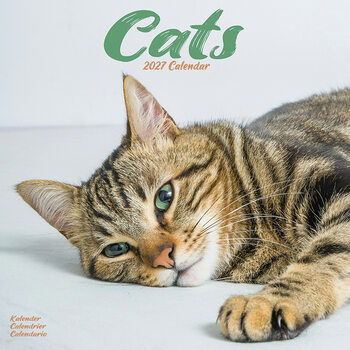 Calendario 2027 Gatti