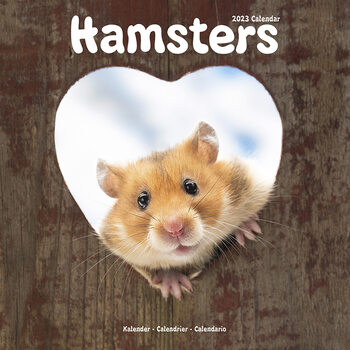 Calendario 2023 Hamsters