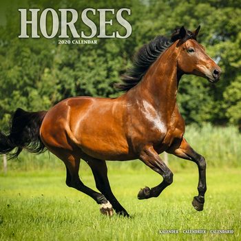 Calendario 2027 Horses