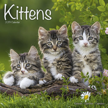 Calendario 2027 Kittens