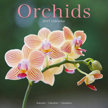 Calendario 2027 Orchidee