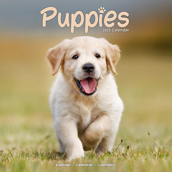Calendario 2027 Puppies