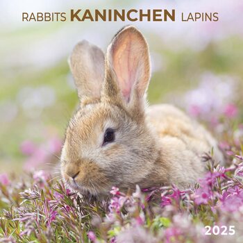 Calendario 2027 Rabbits