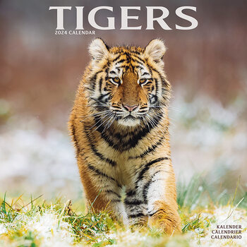 Calendario 2024 Tigers