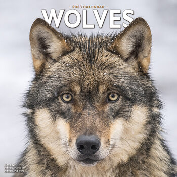 Calendario 2023 Wolves