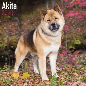 Calendario 2027 Akita