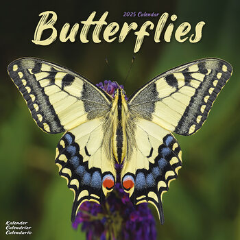Calendario 2027 Butterflies