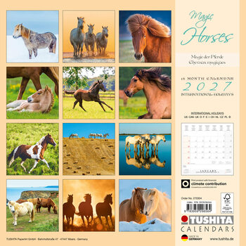 Calendario 2027 Caballos mágicos | 16 meses
