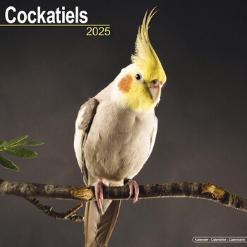 Calendario 2027 Cockatiels