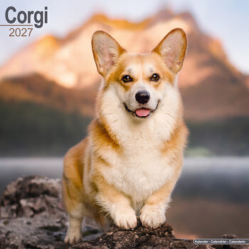 Calendario 2027 Corgi