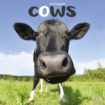 Calendario 2027 Cows