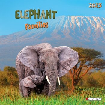Calendario 2023 Elephant Families