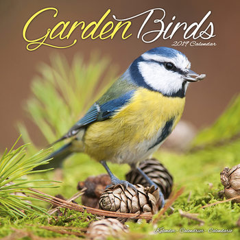 Calendario 2027 Garden Birds