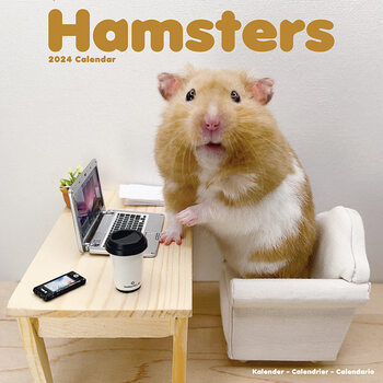 Calendario 2024 Hamsters