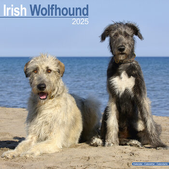 Calendario 2027 Irish Wolfhound