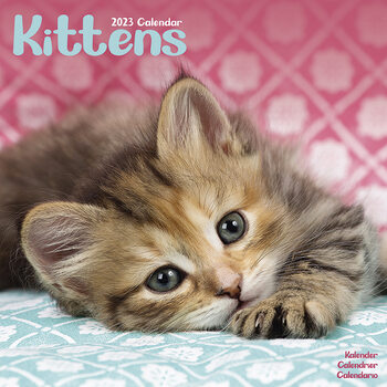 Calendario 2023 Kittens