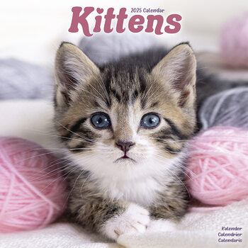 Calendario 2027 Kittens