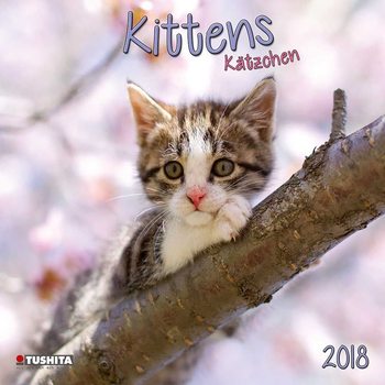 Calendario 2027 Kittens