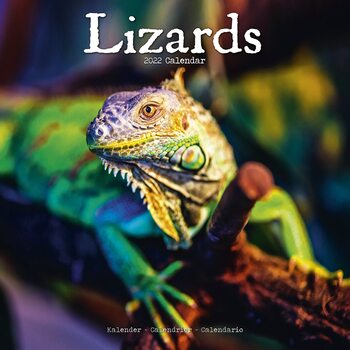 Calendario 2027 Lizards