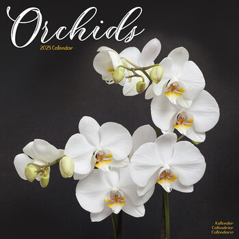 Calendario 2027 Orchids