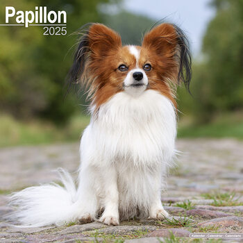 Calendario 2027 Papillon