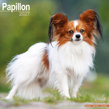 Calendario 2027 Papillón