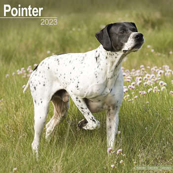 Calendario 2027 Pointer