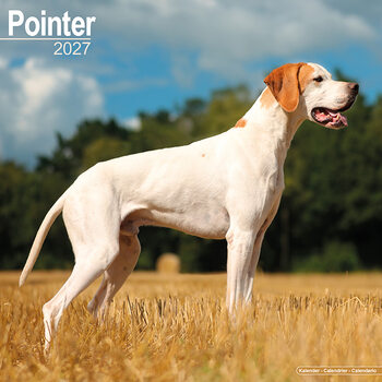 Calendario 2027 Pointer