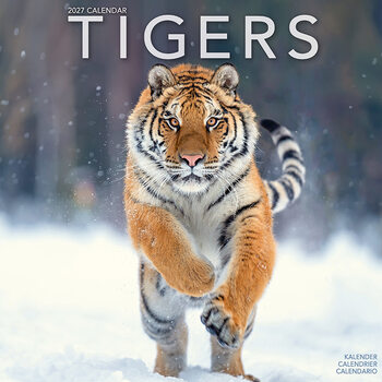 Calendario 2027 Tigres
