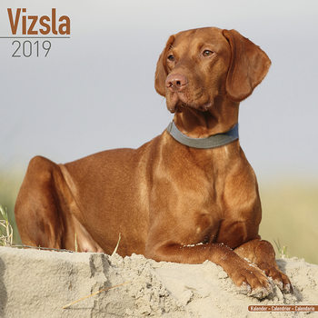Calendario 2027 Vizsla