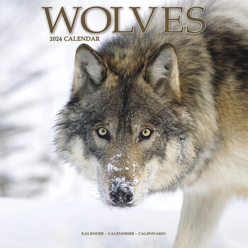 Calendario 2024 Wolves
