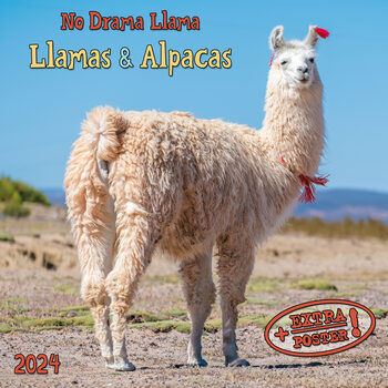 Календари 2024 Alpacas