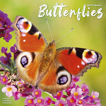 Календари 2024 Butterflies