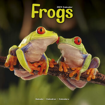 Календари 2024 Frogs