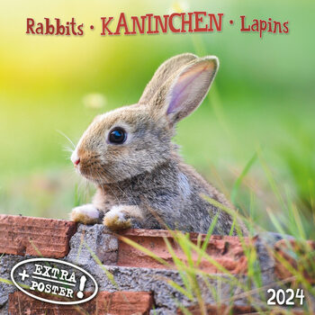 Календари 2024 Rabbits