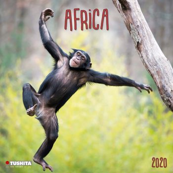 Calendar 2027 Africa