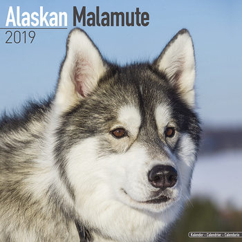 Calendar 2027 Alaskan Malamute