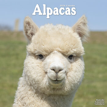 Calendar 2024 Alpacas