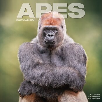 Calendar 2027 Apes