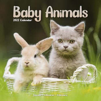Calendar 2027 Baby Animals
