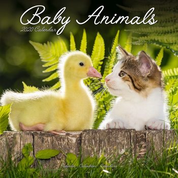 Calendar 2027 Baby Animals